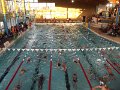 7- 24eme  Meeting du Vierzon natation 30 novembre et 1er decembre 2013